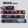 BRIAR