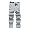 Grigio
