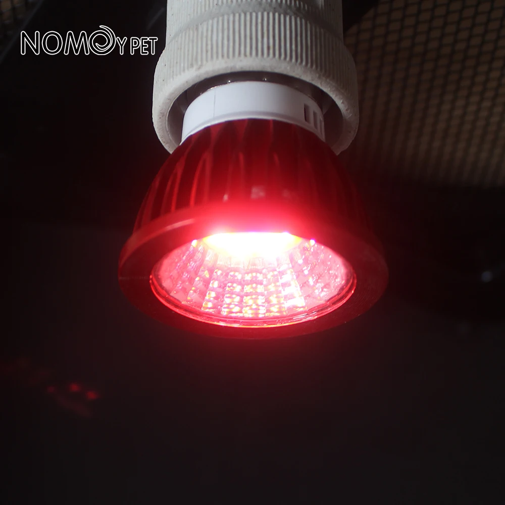 NOMOY PET 2w Energy Saving Specular Reflection LED Red Light Lamp Bulb