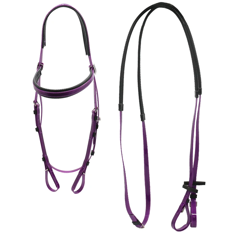 Durable Padded Bridle & Halter Bag – Tack Wholesale