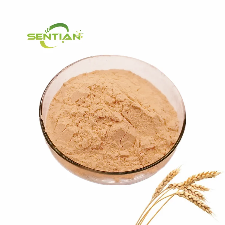 Food Enzymes Improved Solubility Emulsification And Foaming Wheat