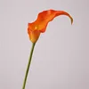 Arancione