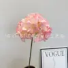 Hortensia de derretimiento de nieve