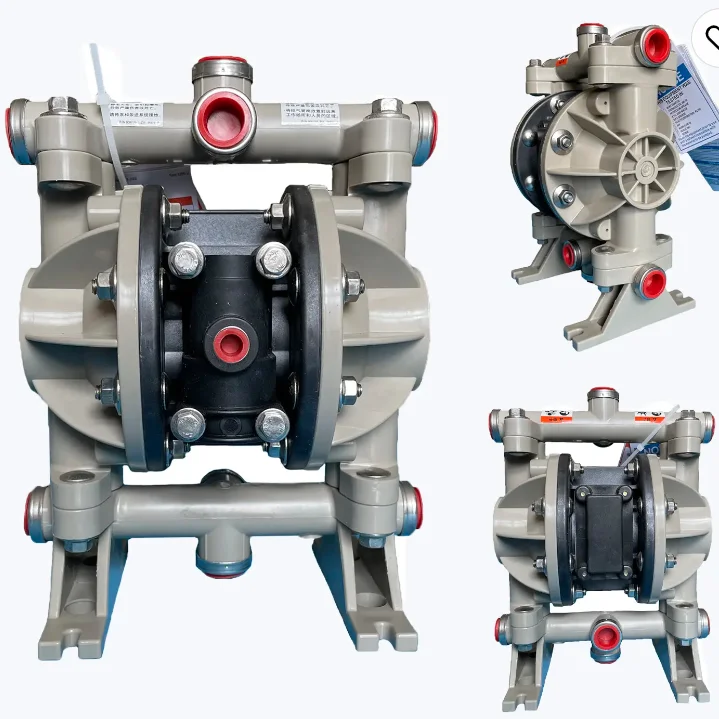 66605J-3EB Diaphragm Pump