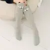 Volpe grigia