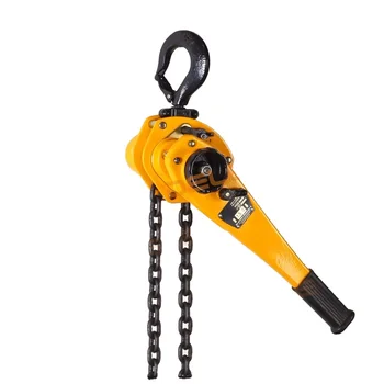 Popular 750kg Lever Block Crane Rachet Lever Block Manual Chain Lever Block with OEM Service