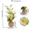Lemon Sapling - 45CM