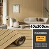 40*300cm GS007
