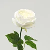 สีขาว