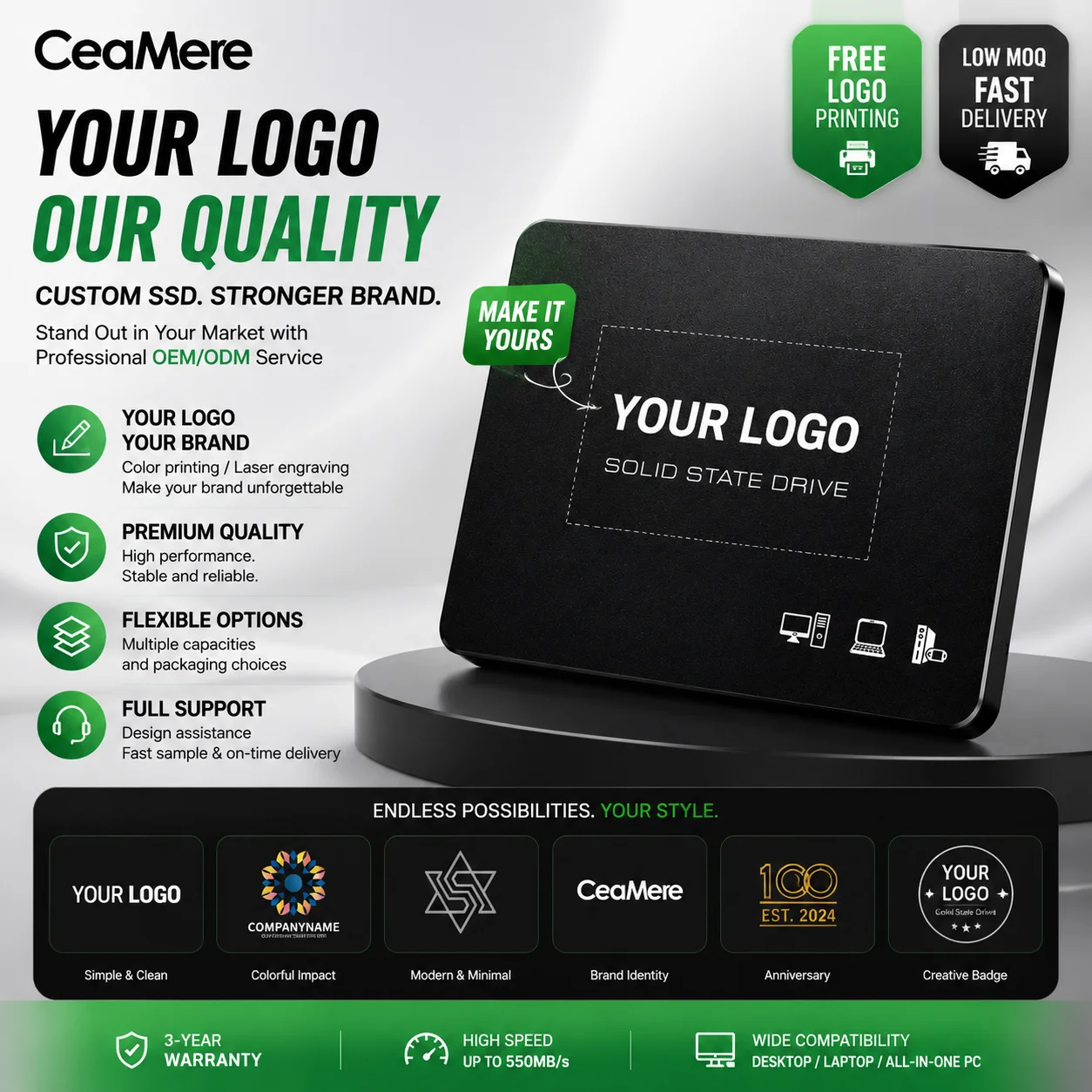 Ceamere SSD Hard Drives - High Capacity & Secure Storage