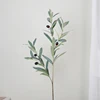 88 ซม., 3 กิ่ง