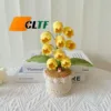 Giallo-3