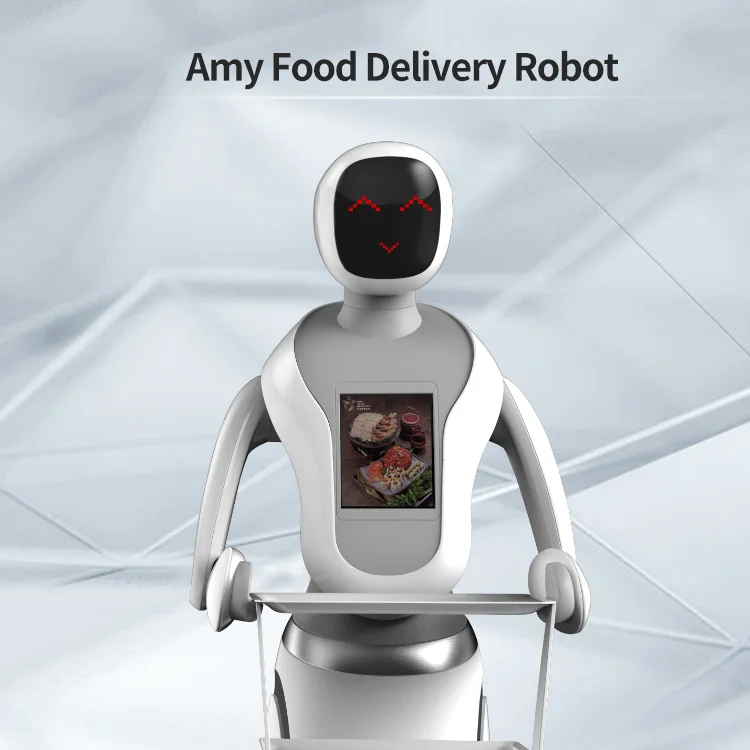 Best Quality Humanoid Service Automatic Robot Waiter