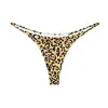 Yellow leopard