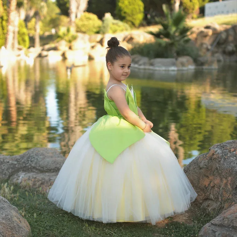 princess tiana fancy dress Amazon.com: Disney Princess & The Frog Princess Tiana Costume for Women