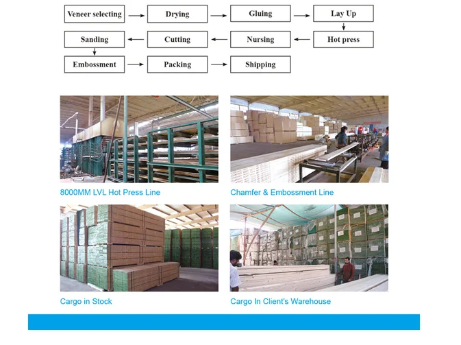 OSHA Standard and the color as requested Pine LVL Scaffolding Planks for Construction - LVL Scaffold Board - 6