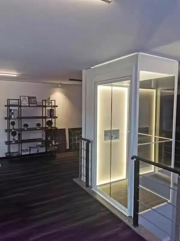 Cheap 2 to 3 Stops Mini Residential Elevator One Person Small Elevator for Homes Price