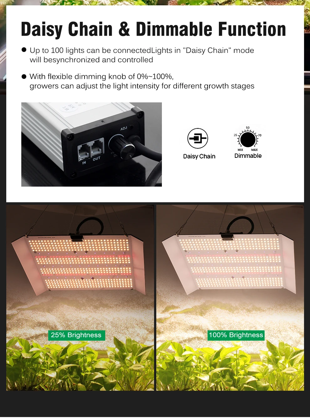 Lampada LED per la coltivazione a spettro completo ad alta potenza, dissipazione del calore efficiente, interruttore indipendente SMD3030, funzione dimmerabile da 200 W, AC100-240 V_voghion.com