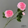 3 heads deep pink peonies