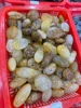 Pierre de quartz dorée de guérison