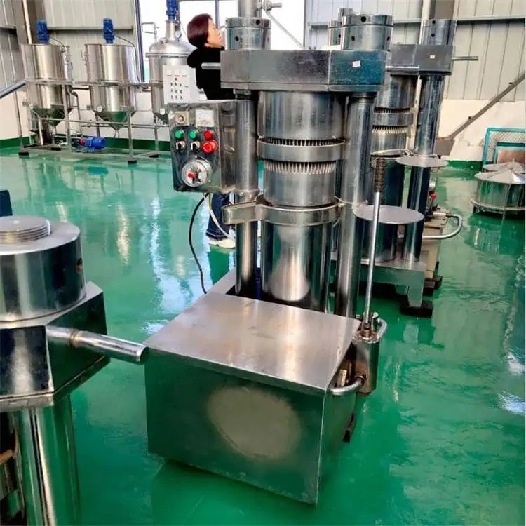 Cold Mini Press Oil Machine for Oil Automatic Oil Press Machine Industrial