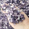 Mica viola