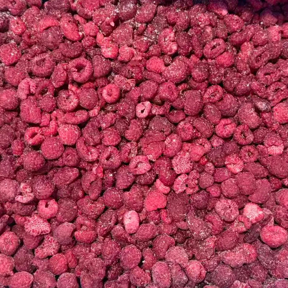 Alta Qualidade IQF Framboesa Congelada em Cubos Venda Direta de Fábrica Embalagem em Grande Quantidade Fruta Direta Baixo Preço
