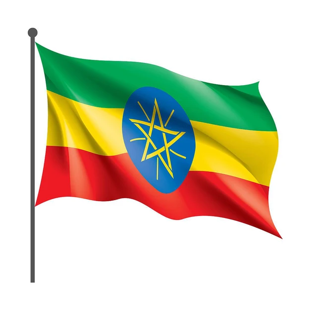 2024 Wholesale Single Sided Custom 3x5ft 4X6FT Digital Printing Campaign All Countries Lion Flags of Ethiopia