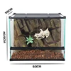 Pet climbing tank