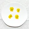 Giallo 12 pezzi/confezione