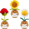 Plante en pot de graisse de tournesol