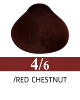 4/6 Red Chestnut