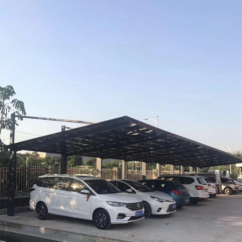 Modern Simple Design Metal Frame Polycarbonate Ceiling Family  Car Garage Canopy