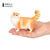 3626 Chat Ragdoll
