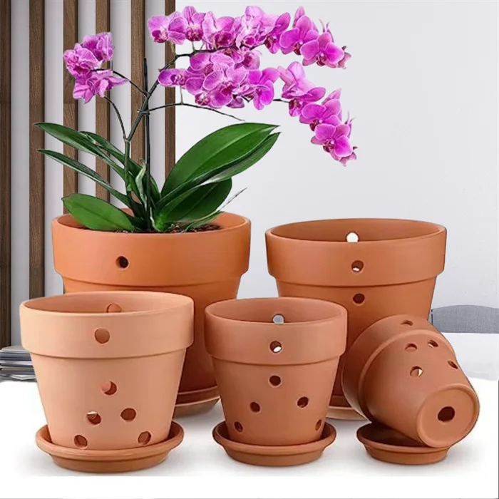 Terracotta Orchid Pots - Durable and Stylish Solutions