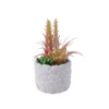 Plante aérienne artificielle et succulente dans un pot en ciment