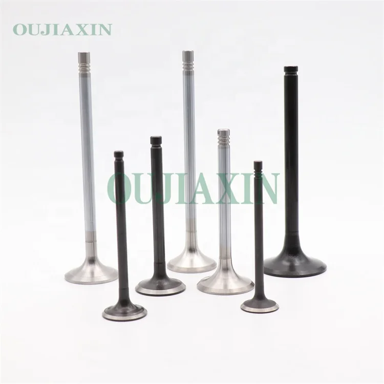 Source Customized Engine INTAKE VALVES of various brand for 