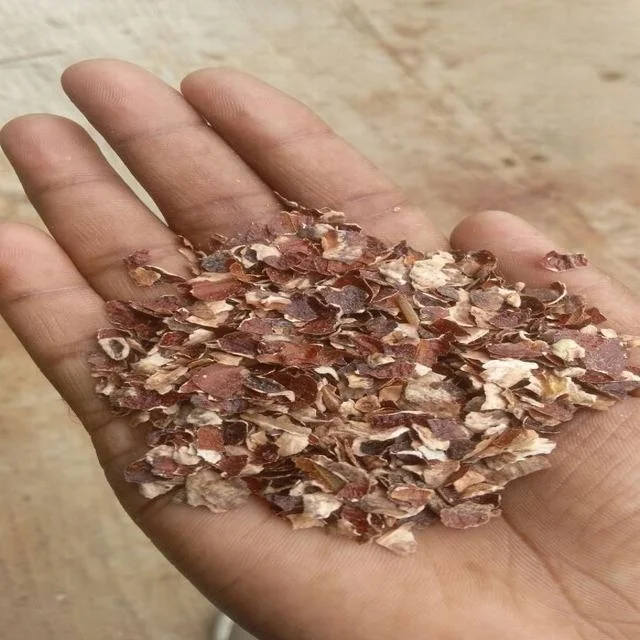 Hot Sale Big Size Agricultural Waste-Cashew Husk for Tanning
