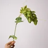 Lupulo de goma suave de 2 cabezas - verde