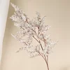 สีขาว