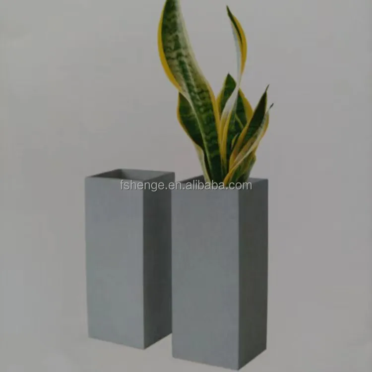 lavender flower plant Sea Lavender