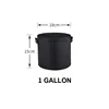 Black-1 GAL