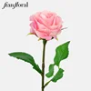 Rosa-SP1163