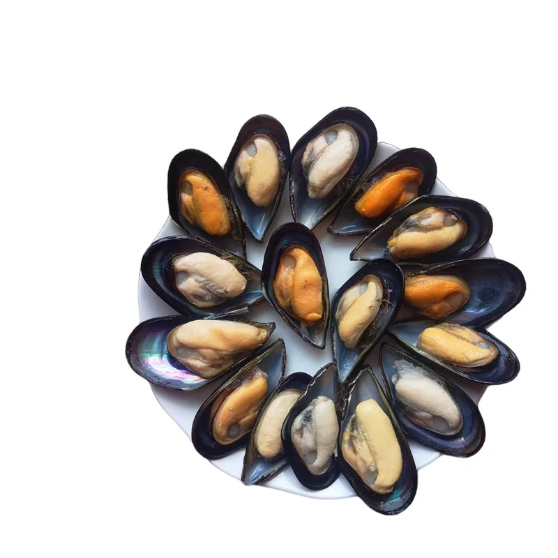 优质冷冻新鲜熟绿麝香 - buy frozen green mussle,half shell mussel