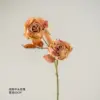 Orange Coffee Flat-Top Rose