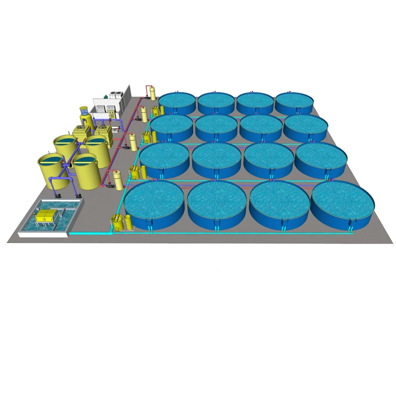 Indoor Ras System Shrimp Farming Recirculating Aquaculture System