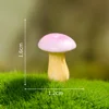 No 3-dream mushroom