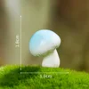6-dream mushroom