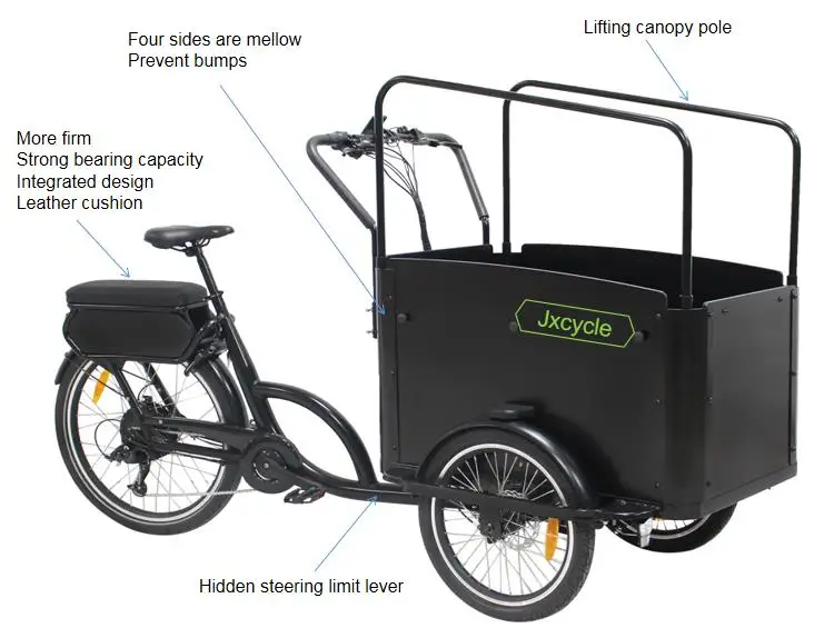 cargo 3 wheel motorized bike 500w Alibaba