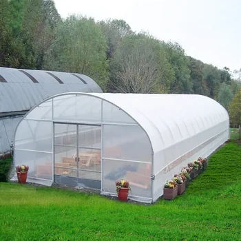 Large Plastic Agricultural Greenhouse Tunnel Vegetable Greenhouses For ...